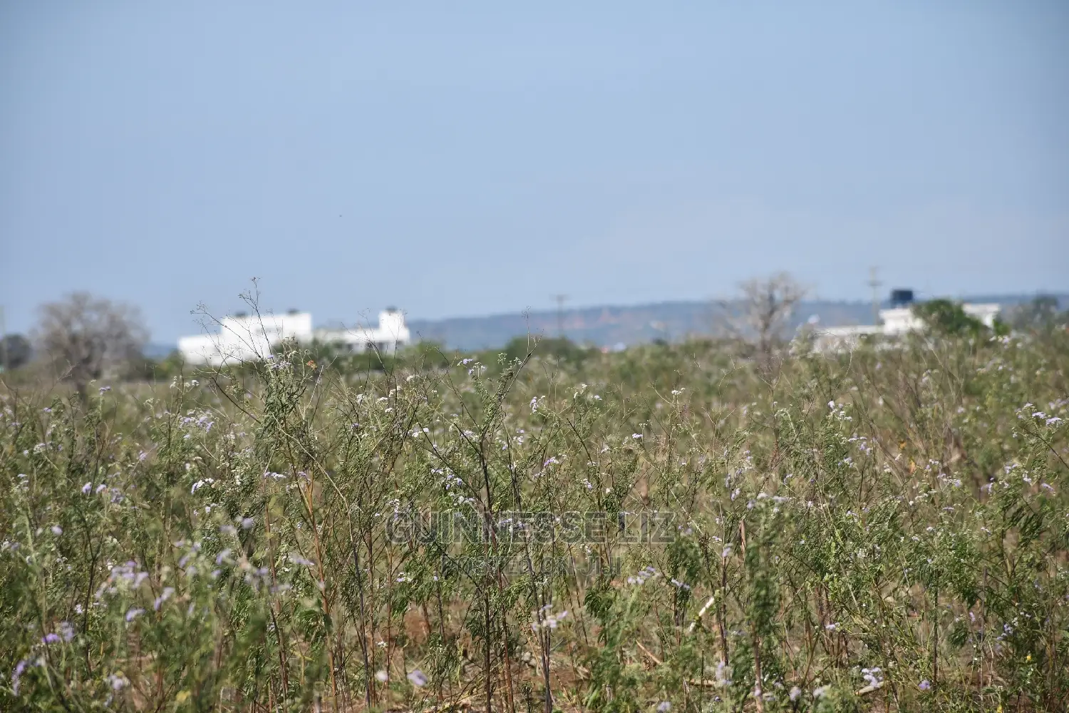 Mavueni Scheme Near Ezekiel's Church