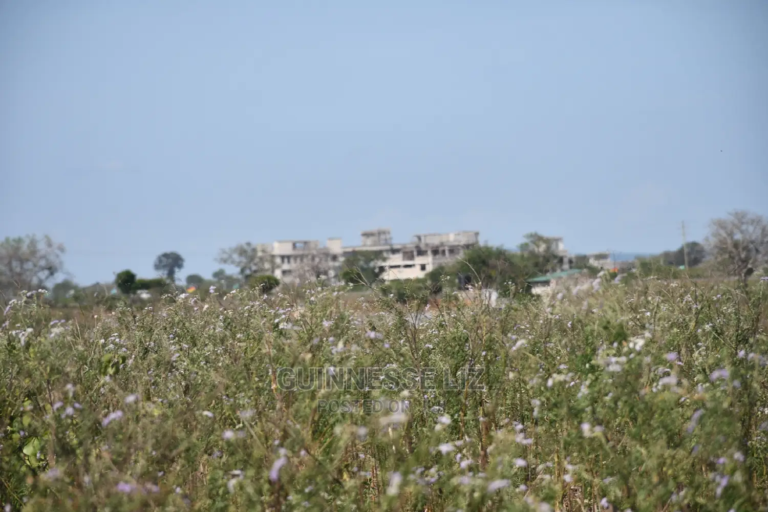 Mavueni Scheme Near Ezekiel's Church