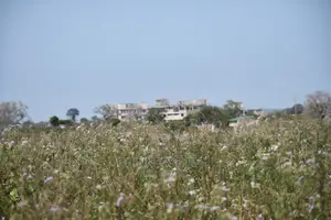 Mavueni Scheme Near Ezekiel's Church