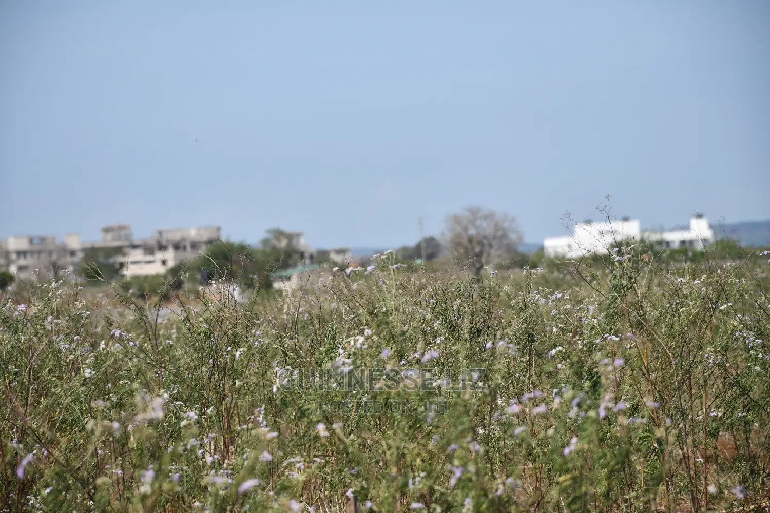 Mavueni Scheme Near Ezekiel's Church