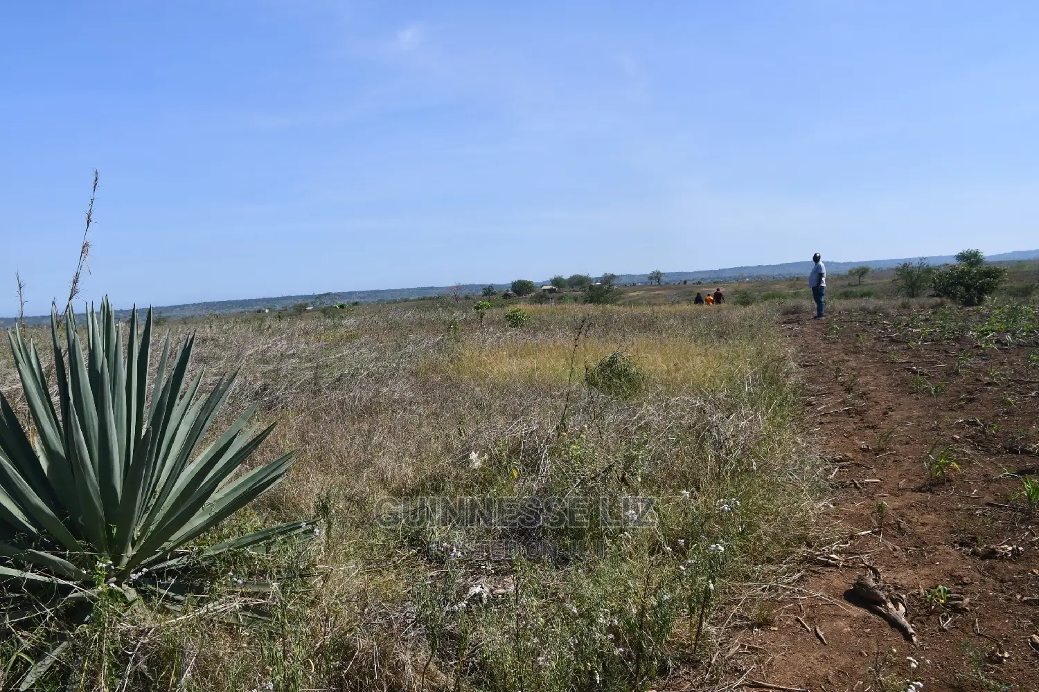 Mavueni Scheme Near Ezekiel's Church