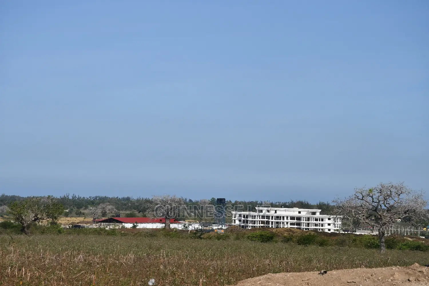 Mavueni Scheme Near Ezekiel's Church