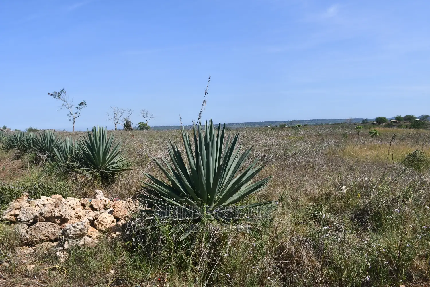 Mavueni Scheme Near Ezekiel's Church