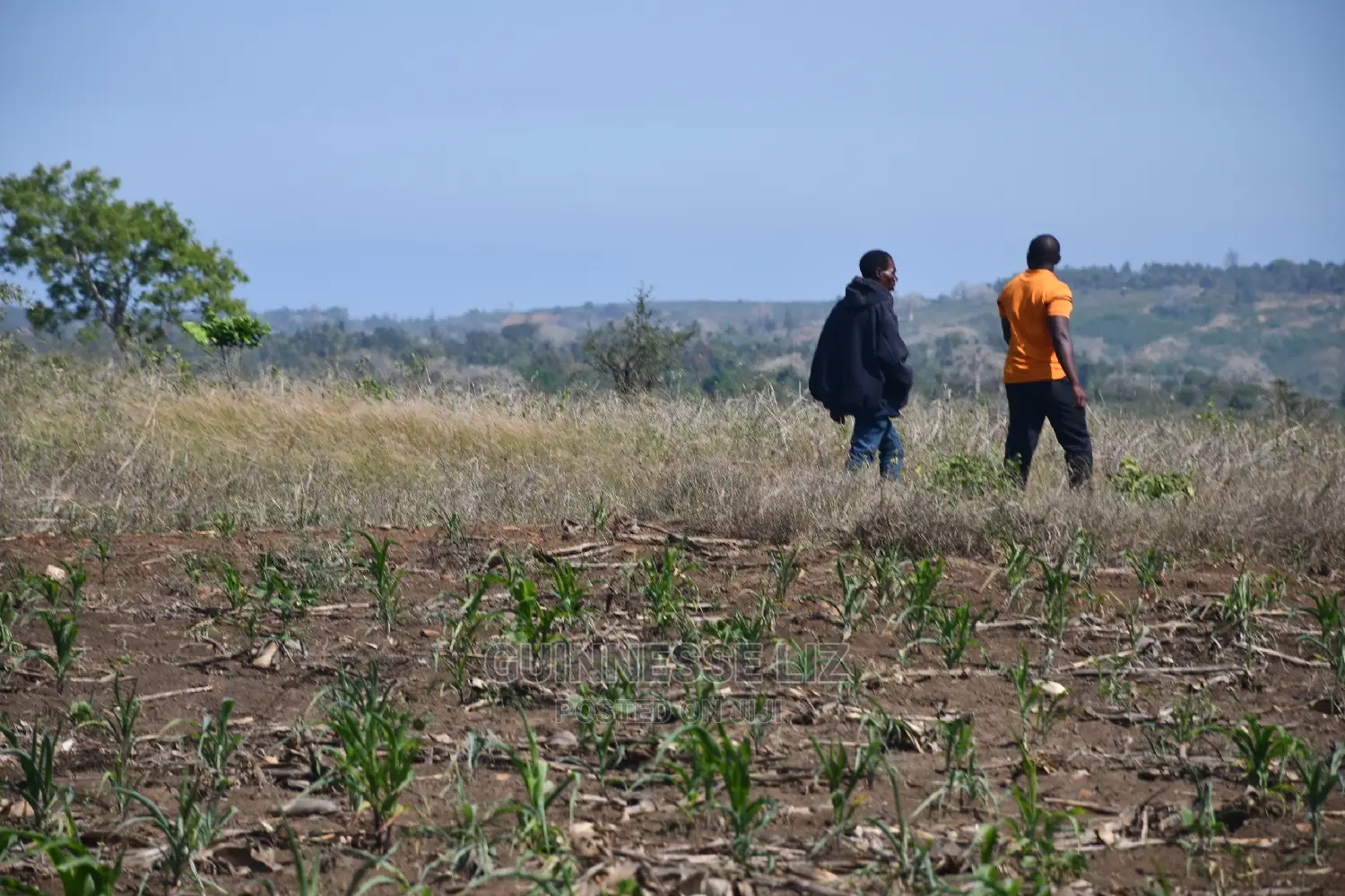 Mavueni Scheme Near Ezekiel's Church