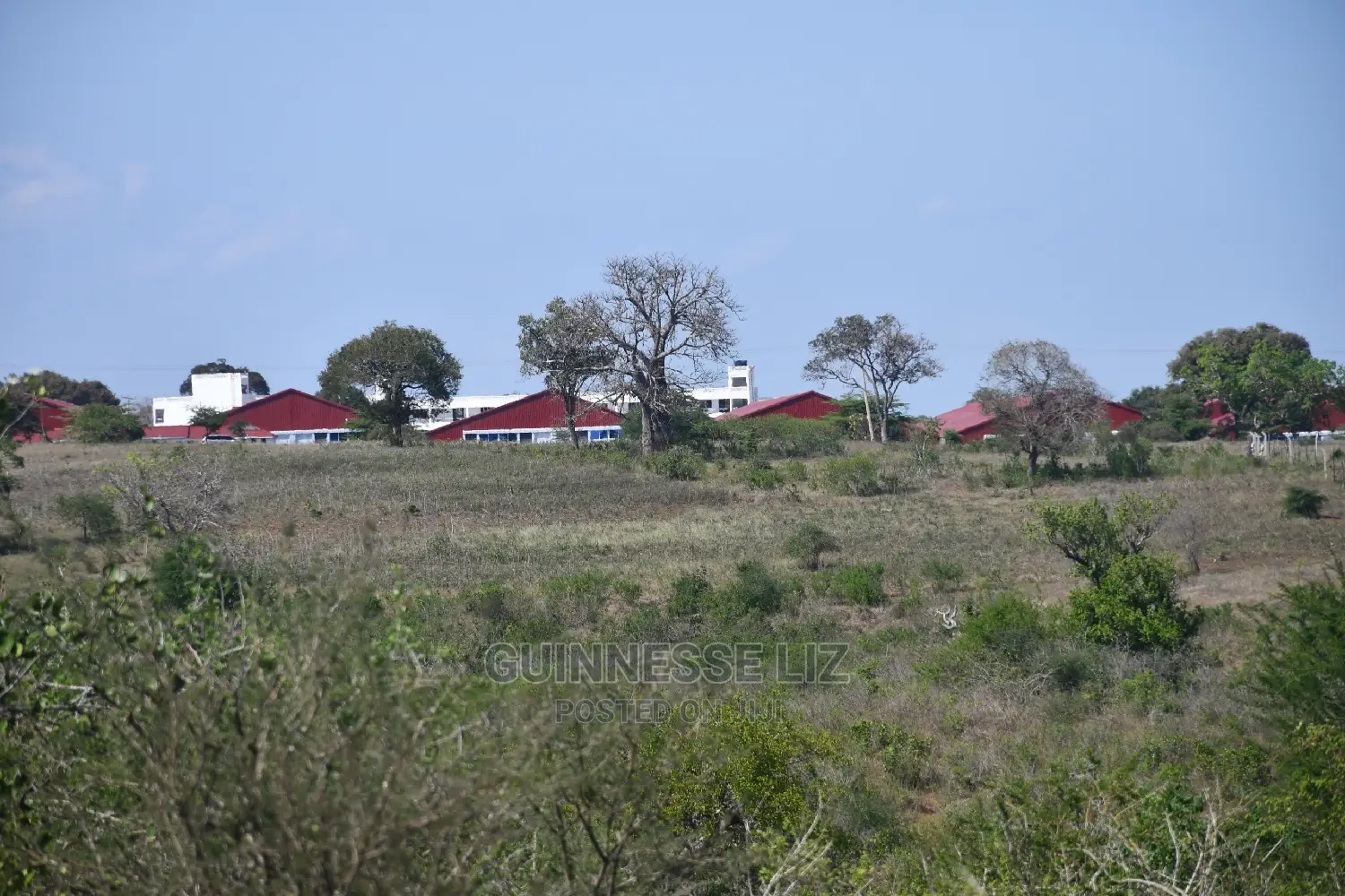 Mavueni Scheme Near Ezekiel's Church