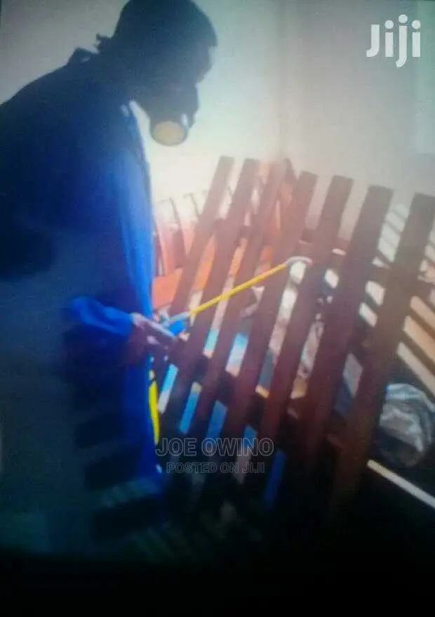 Fumigation Services/Pest Control in Ruiru Area
