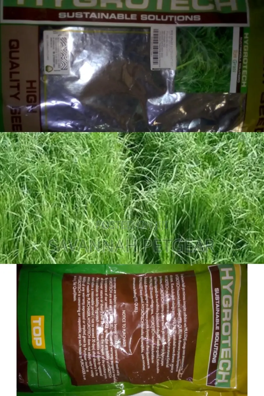 Quality Rye Seeds 1kg