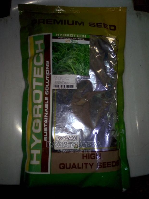 Quality Rye Seeds 1kg - thumbnail 3
