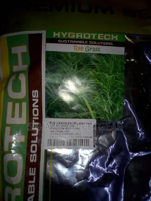 Quality Rye Seeds 1kg