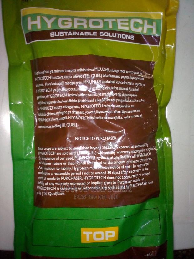 Quality Rye Seeds 1kg - thumbnail 5