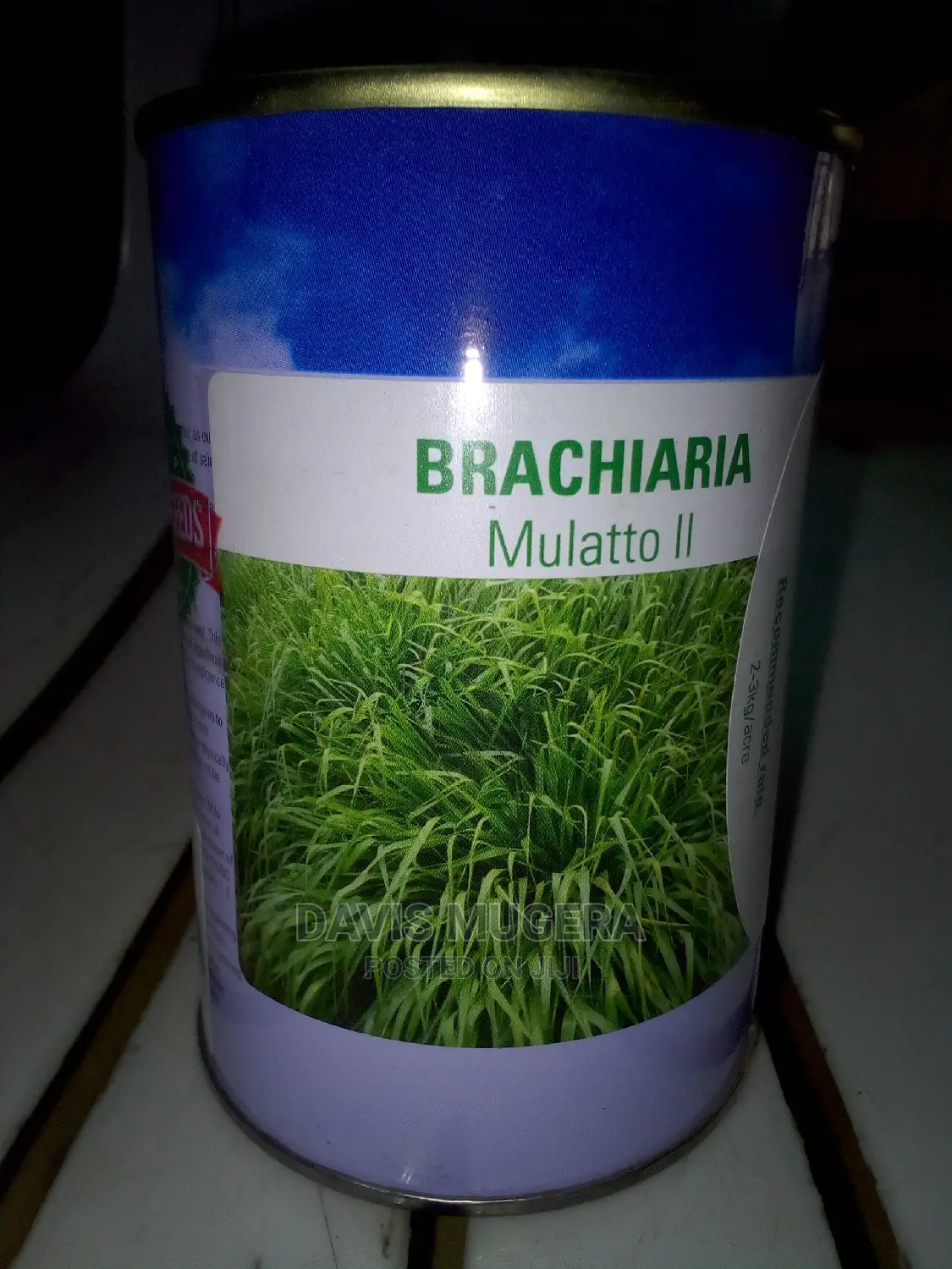 Brachiaria Mullato II Seeds in 1kg Pack in Nairobi Central Feeds