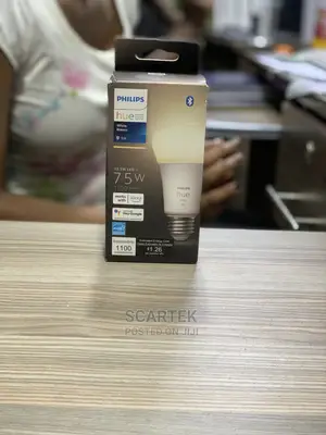 Phillips Bulb (New)