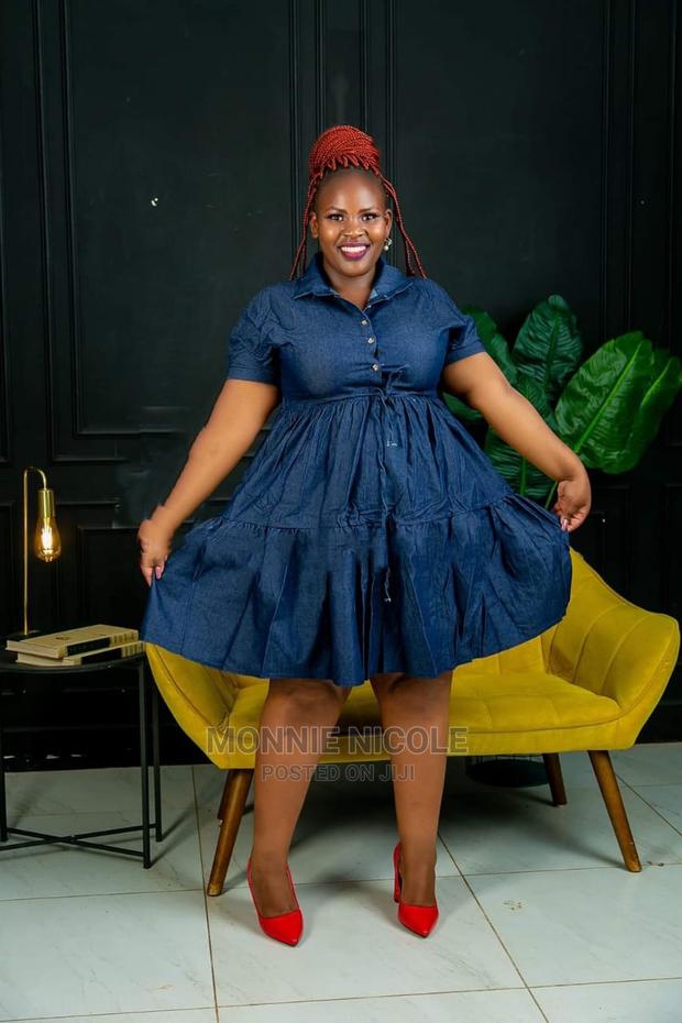 Fancy Denim Skater Dress
