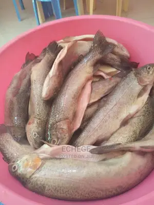 Catfish and Tilapia