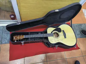 Acoustic Guitar Hard Case Bag