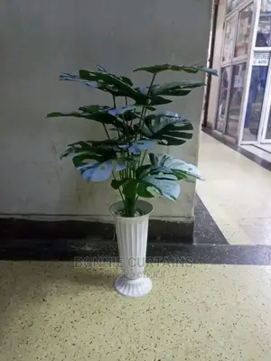 Blue Curtains for Sale