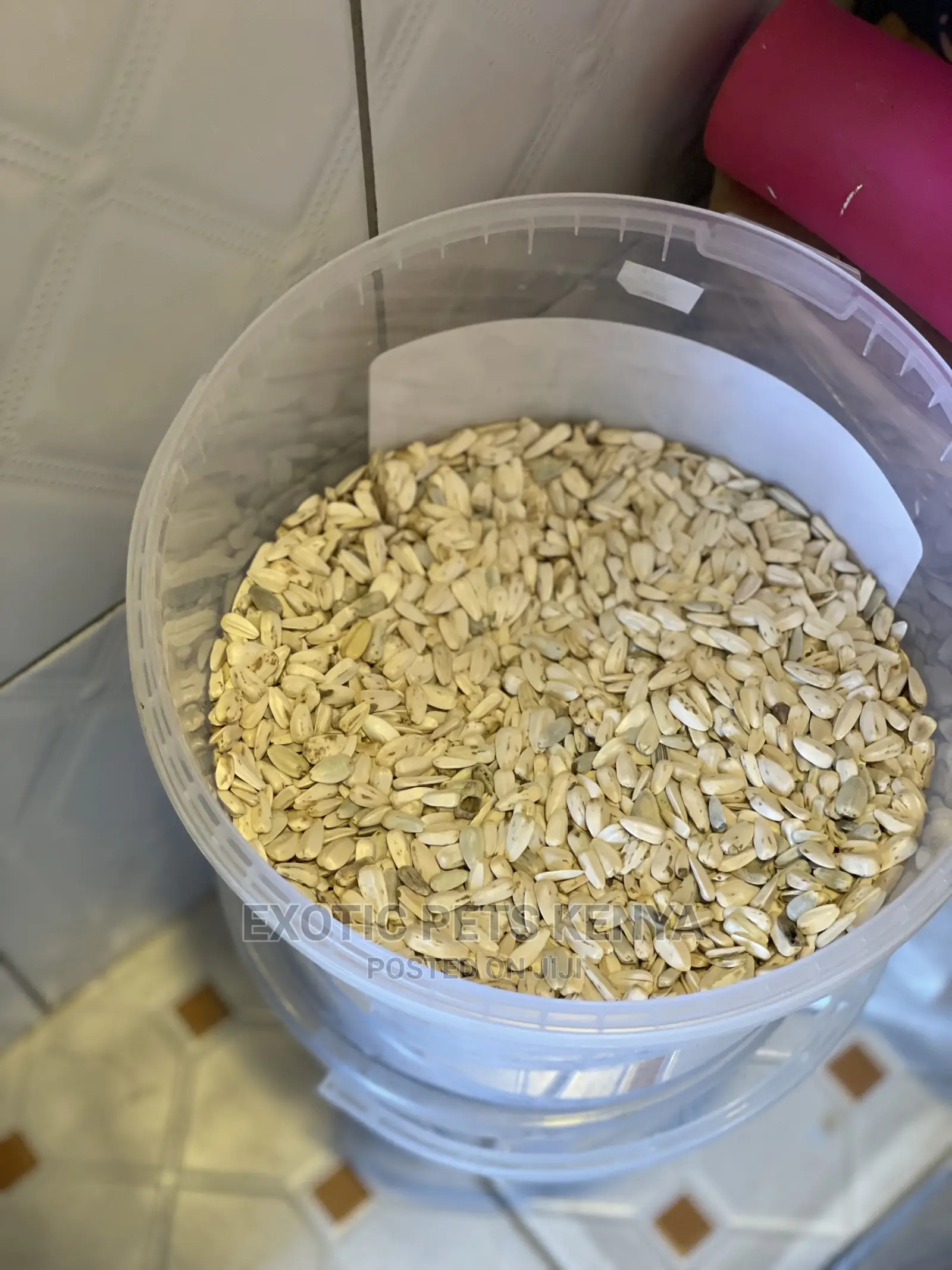 Sunflower Seed Mix for Birds and Parrots