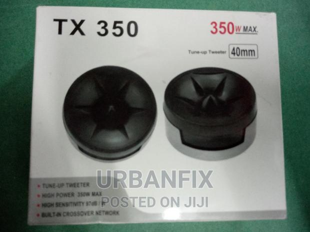 Powerful 350 Watts Tweeters
