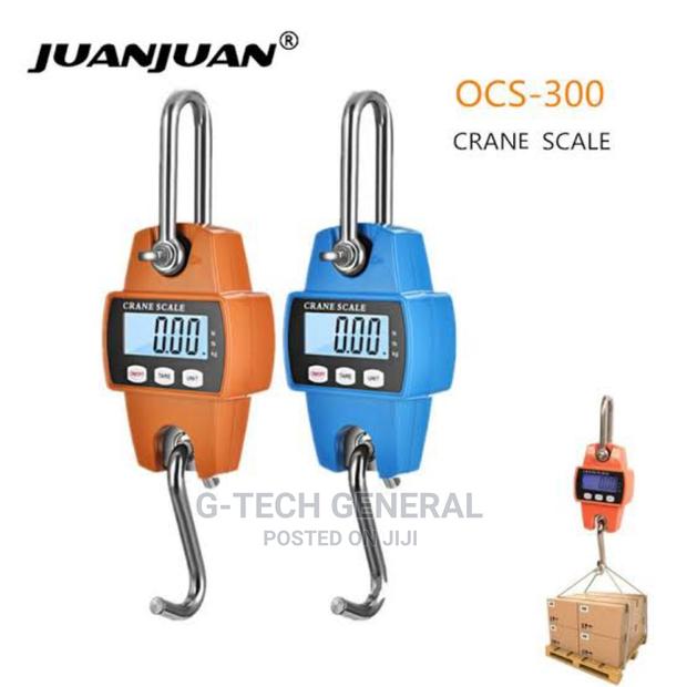 300 KGS Digital Scale. - main view