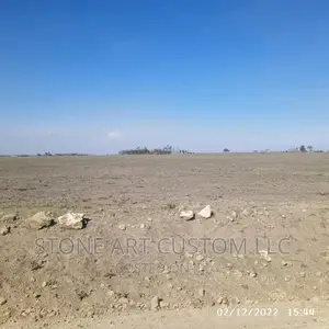 10 Acres, Saitoti/Ostrich Park.