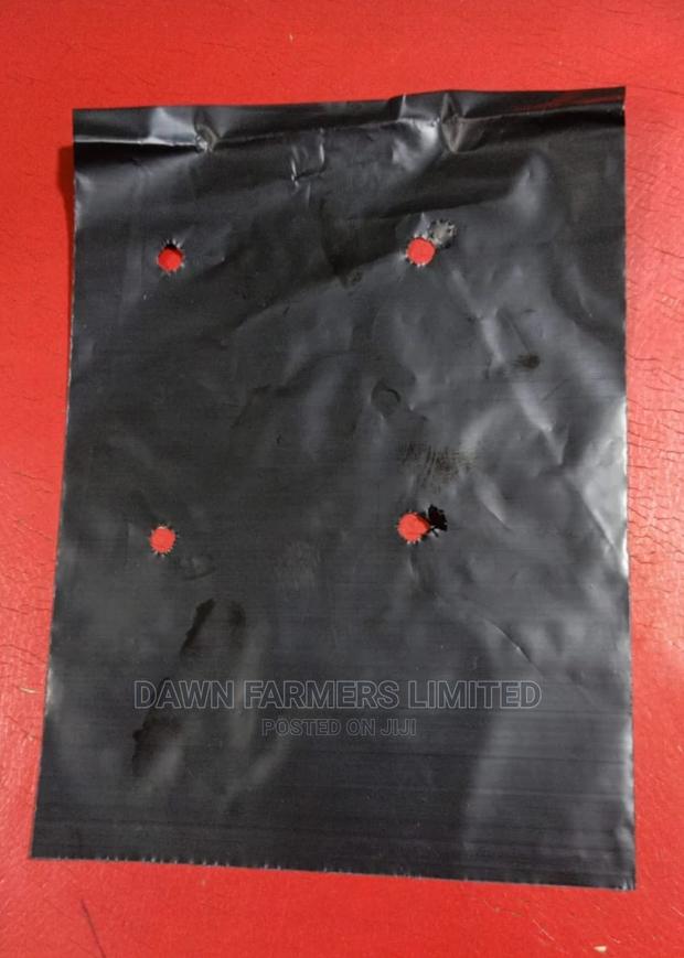 Planting Bags/ Polypots 100pcs - thumbnail 2