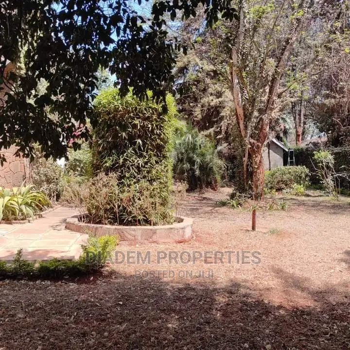 Commercial Bungalow to Let in Kilimani
