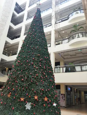 20ft Christmas Trees* Christmas Trees; Xmas Trees| Xmas Tree