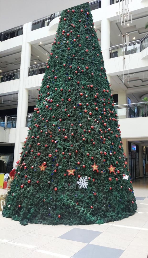 Christmas Trees# Christmas Trees^ Christmas Trees~ Christmas