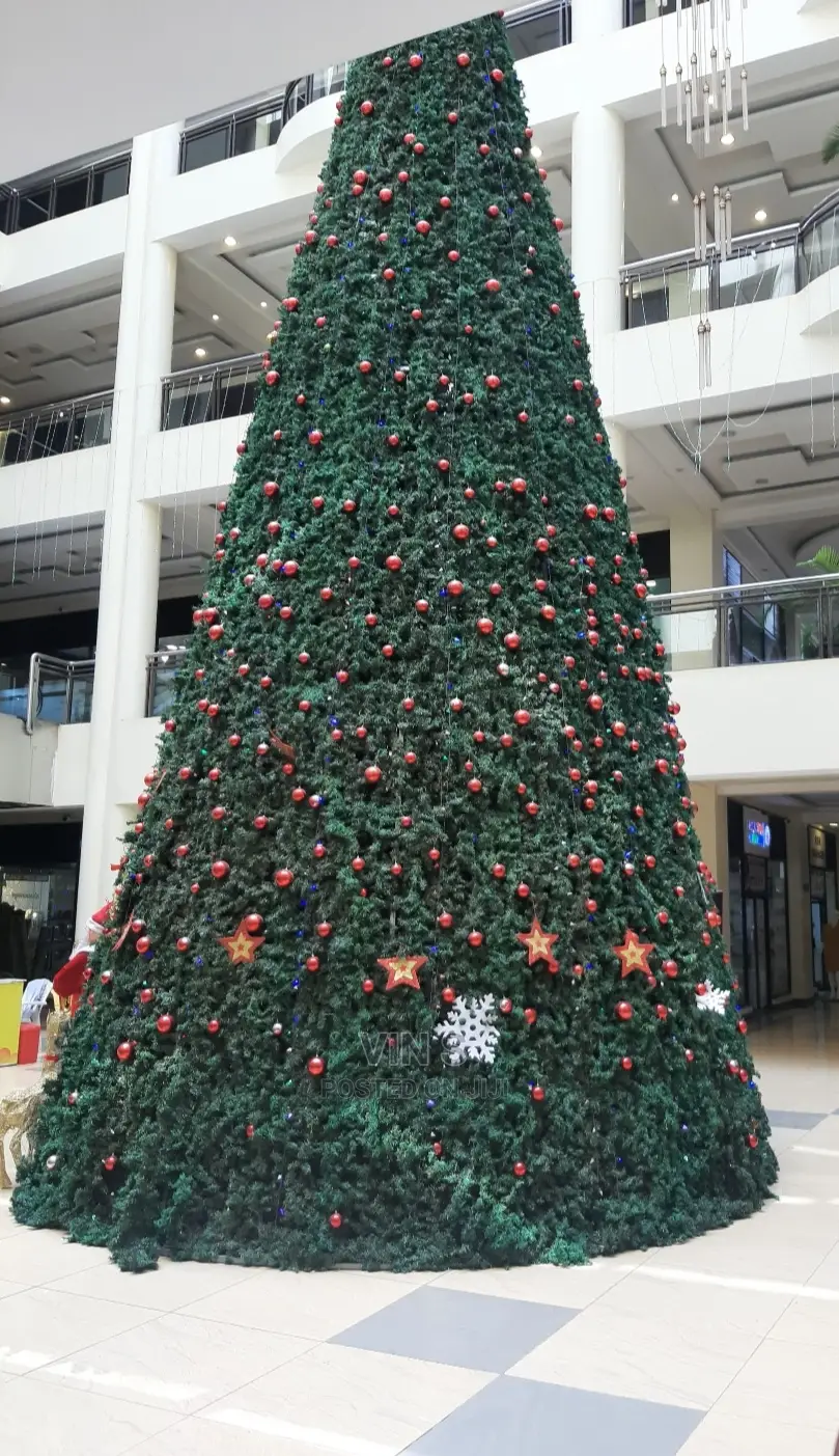 Christmas Trees# Christmas Trees^ Christmas Trees~ Christmas