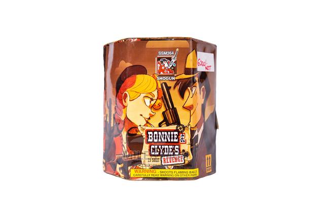 Fantastic 19 Shots Fireworks - main view