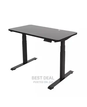 Adjustable Standing Desk