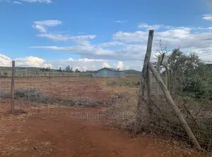 5 Acres Enkusero Sampu at 1.5m Per Acre