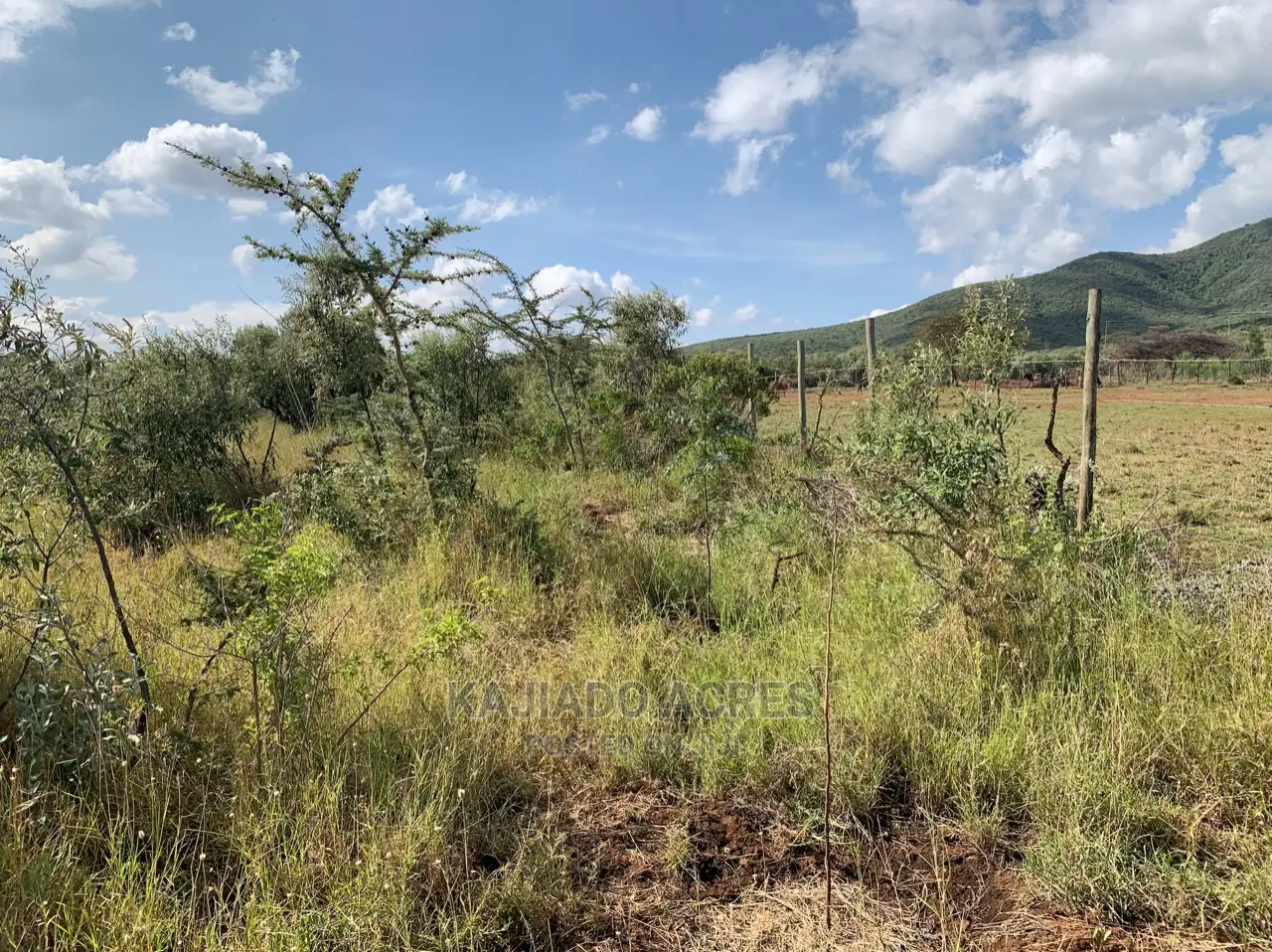 5 Acres Enkusero Sampu at 1.5m Per Acre