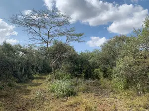 5 Acres Enkusero Sampu at 1.5m Per Acre