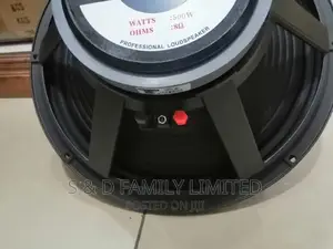 Derwel 15AH22 15 Inch Naked Speakers