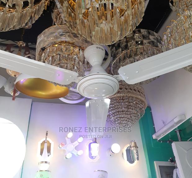 Celling Fans - main view