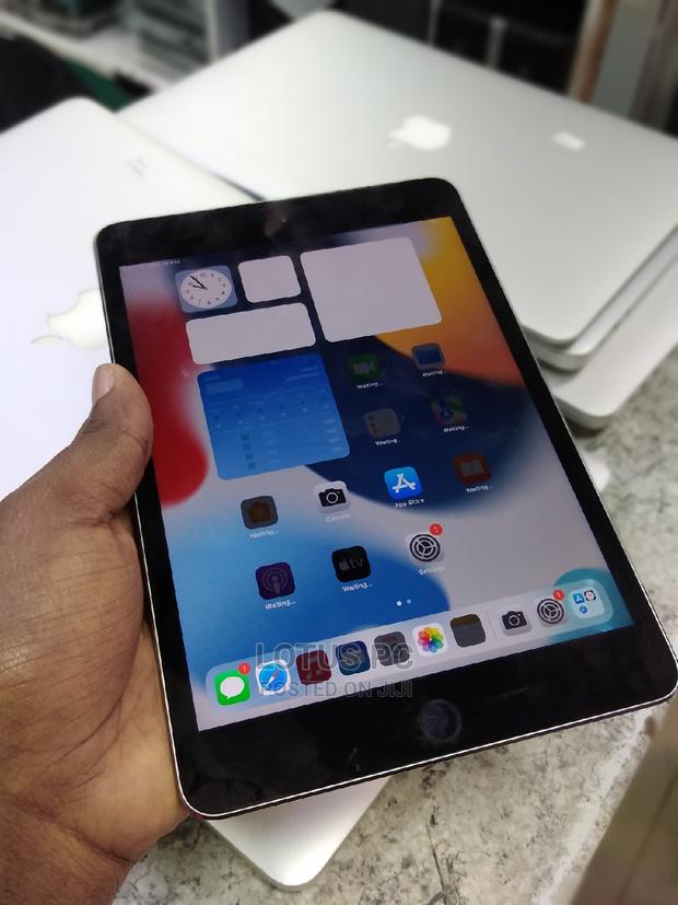 Apple iPad Mini Wi-Fi 128 GB Gray