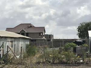 50 By100 Katani Kambi - thumbnail 2