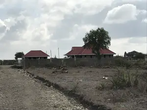 50 By100 Katani Kambi