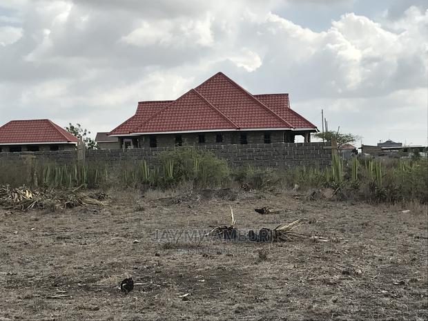 50 By100 Katani Kambi - thumbnail 7