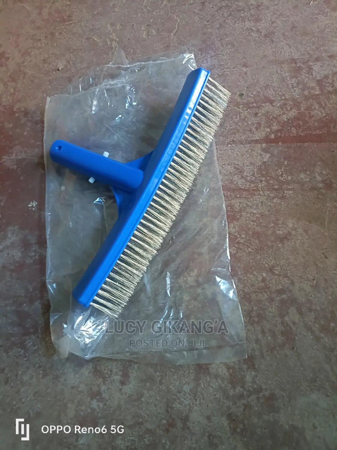 Algae Brush