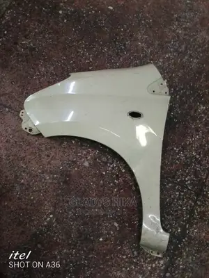 Ex Japan Wing/Fender for Suzuki Alto 2008