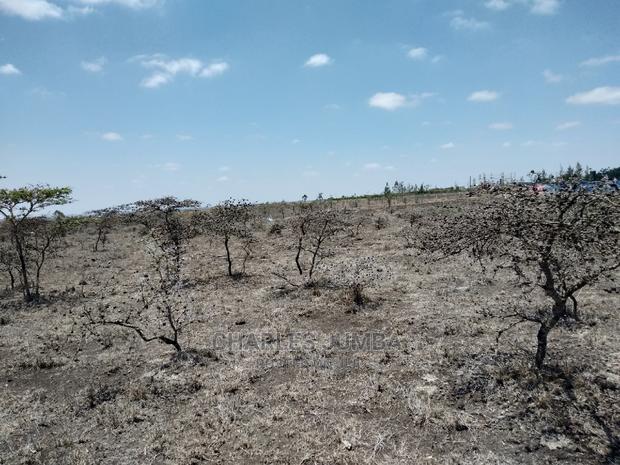 Acacia Plot - thumbnail 4