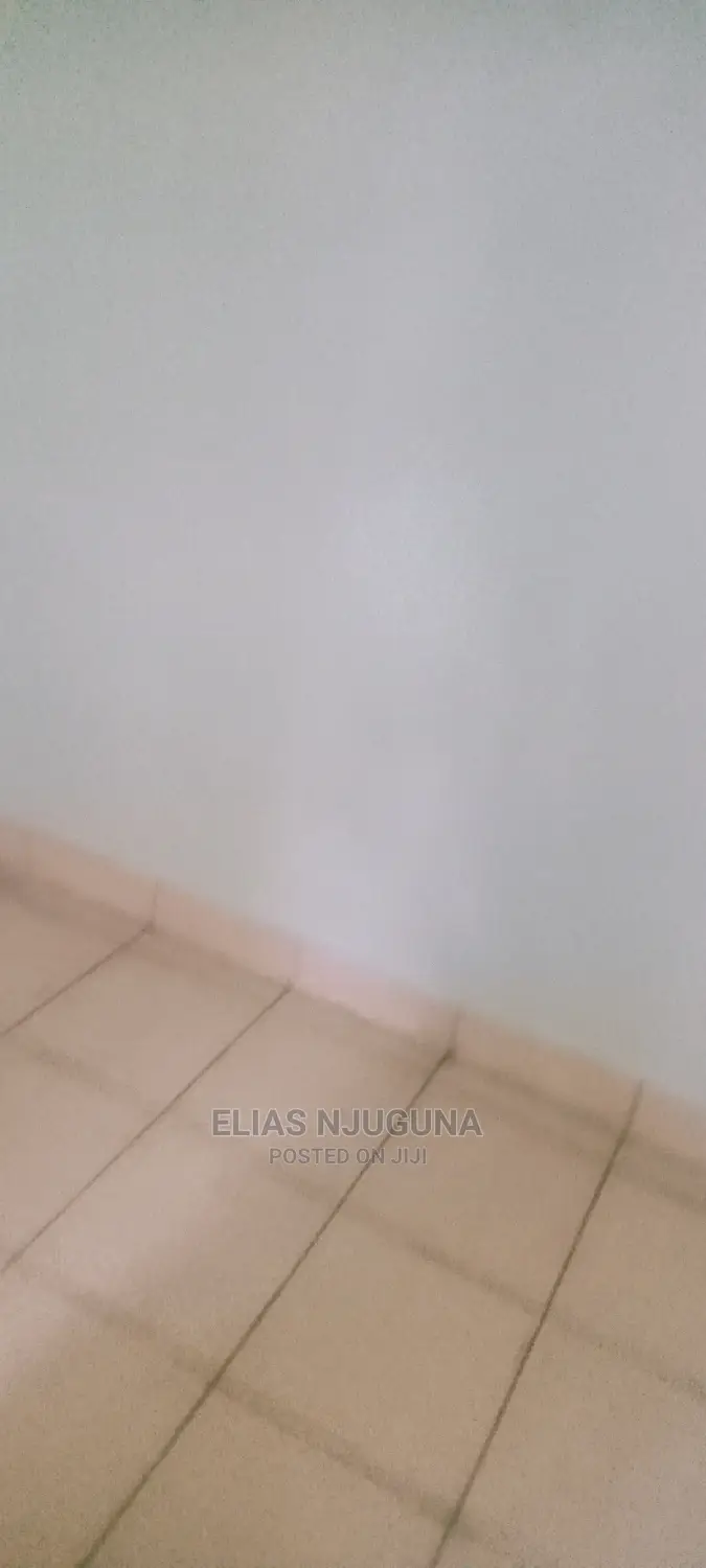 1bdrm Apartment in Safari Park Estate, Roysambu for Rent