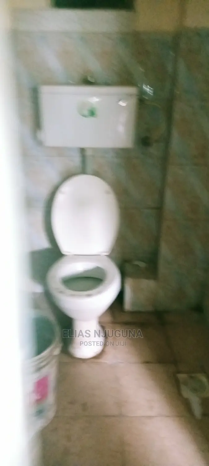 1bdrm Apartment in Safari Park Estate, Roysambu for Rent