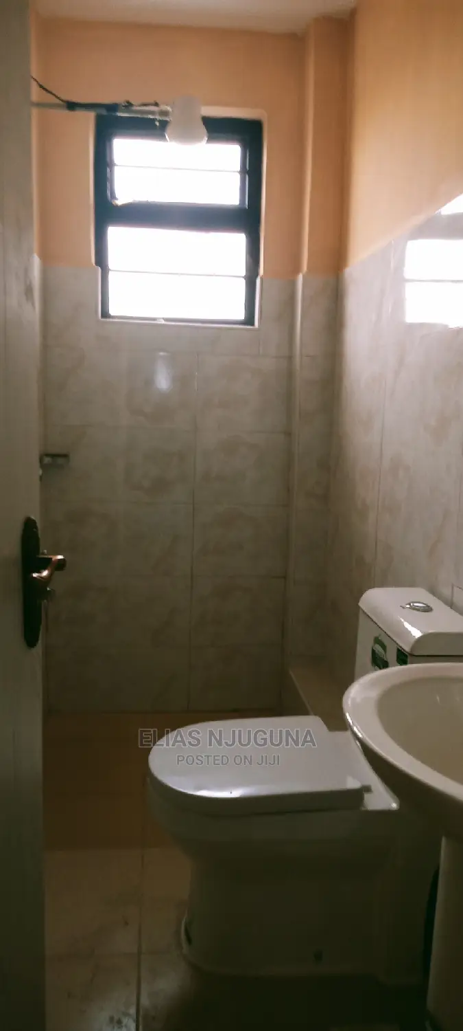 1bdrm Apartment in Safari Park Estate, Roysambu for rent