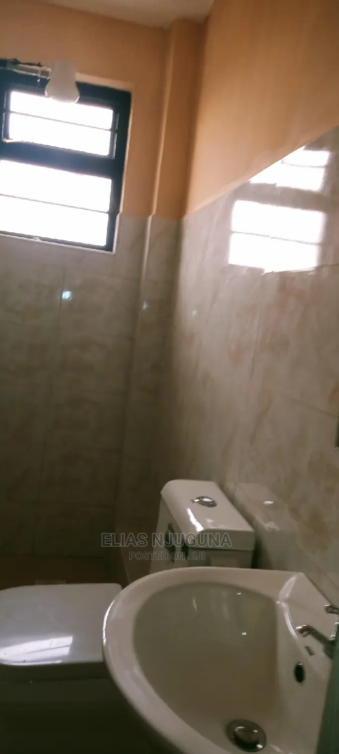 1bdrm Apartment in Safari Park Estate, Roysambu for rent