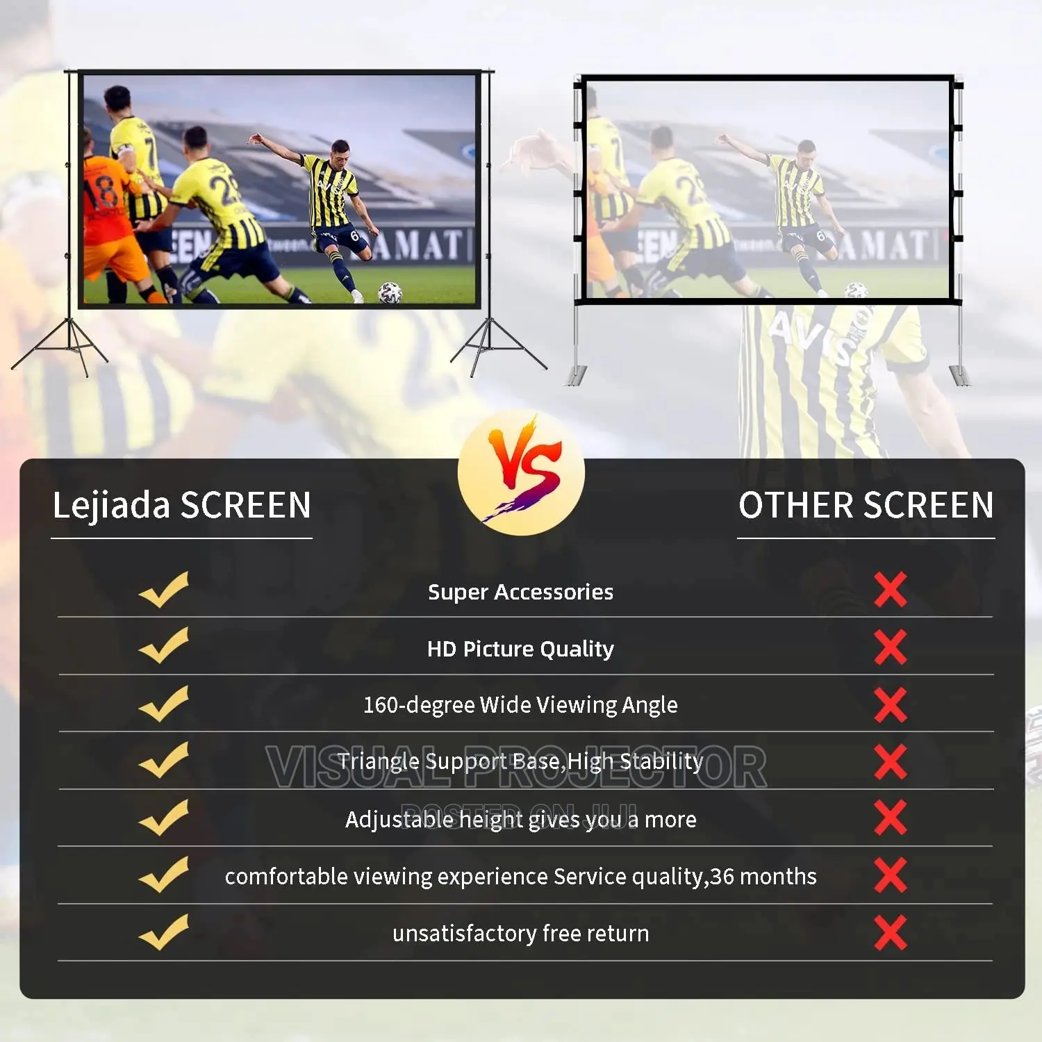 100 Inch Projector Screen and Stand