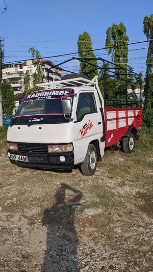 Light Transport
