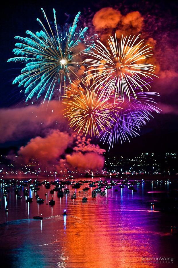 Professional Fireworks Display